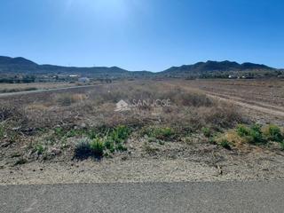 Landgut in Hondón de los Frailes. Venta de parcela rustica al lado del pueblo en hondon de los fra