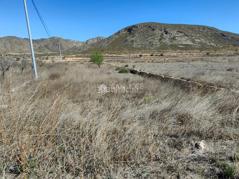 Foto 924887c2-a2de-4a02-a9f3-ebd765488fab. Propriété dans La Murada - Los Vicentes Orihuela