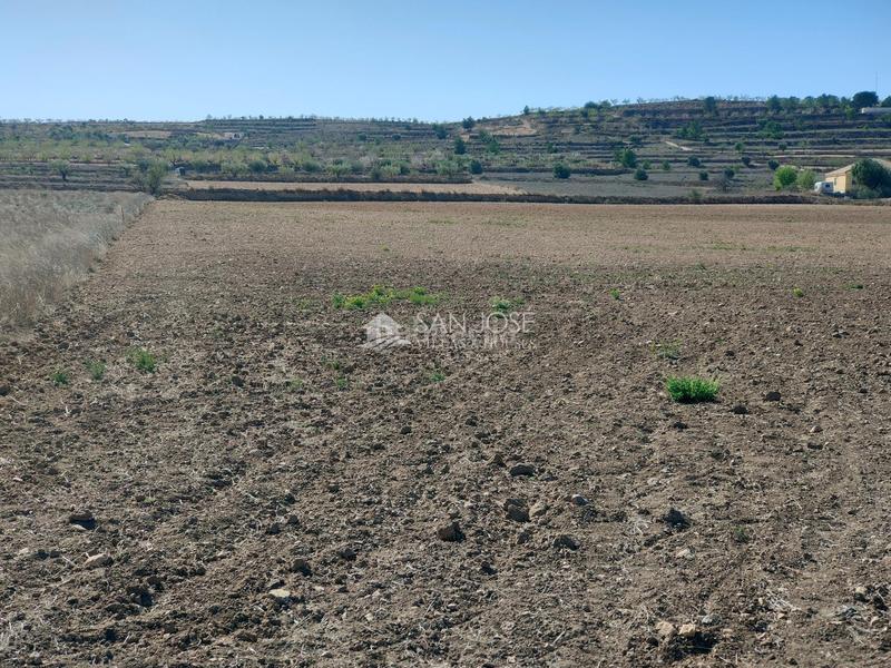 Foto a6319049-5cb9-40b7-8931-9e68805bcb2e. Propriété dans La Murada - Los Vicentes Orihuela