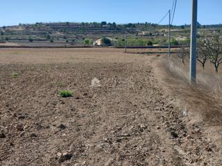 Propriété à La Murada - Los Vicentes. Se vende parcela en barbarroja cerca del pueblo