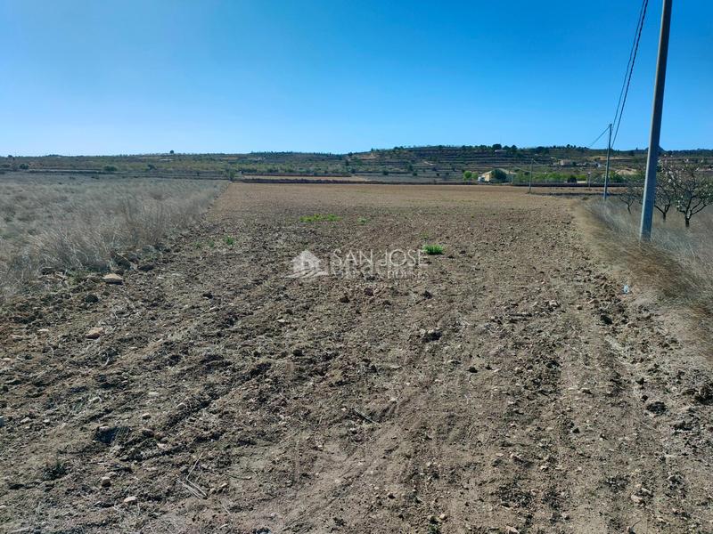 Foto e84a4754-ed64-4e65-96bd-1b26d9061f71. Propriété dans La Murada - Los Vicentes Orihuela