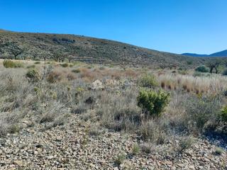 Landgut in Hondón de los Frailes. Se vende parcela en la solana de hondon de los frailes