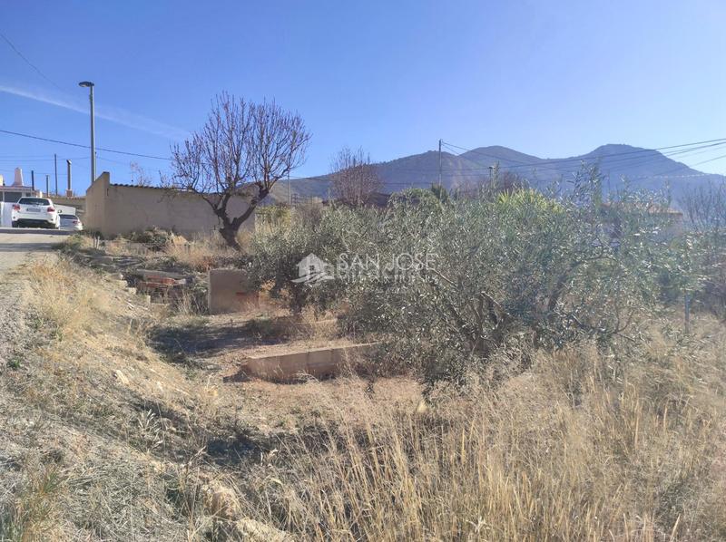 Foto 099c5895-bb6f-488e-8db5-ff008a195fd5. Masia a Algueña