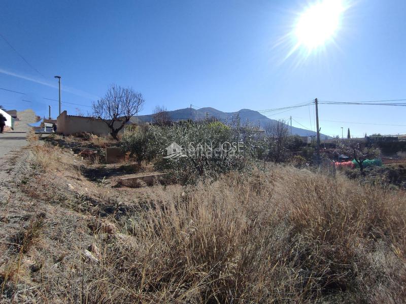 Foto 511756fc-9f44-4bf2-90fe-13036ab1e7c1. Masia a Algueña