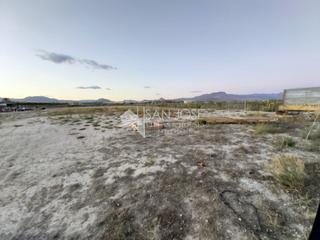 Edifici a Pedanías Este. Se vende parcela con albergue en zona huerta mayor en aspe