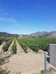Propriété à Romana (la). Se vende terreno en la romana en zona la cava alicante