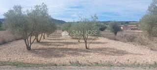 Propriété à Hondón de los Frailes. Se vende parcela rustica en hondon de los frailes cerca del poli