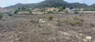 Landgut in Hondón de los Frailes. Se vende parcela rustica en hondon de los frailes zona de montea