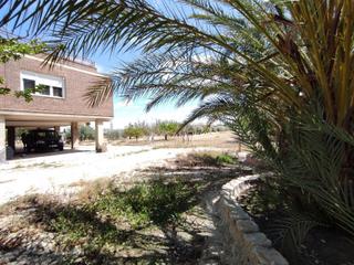 Xalet a Novelda. Se vende chalet en novelda zona campet a 5 min del pueblo.