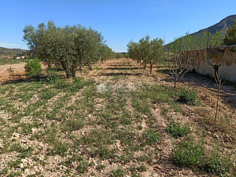 Foto ba76c43f-94c7-4504-9308-a10e3d960df7. Casa amb aparcament a Abanilla