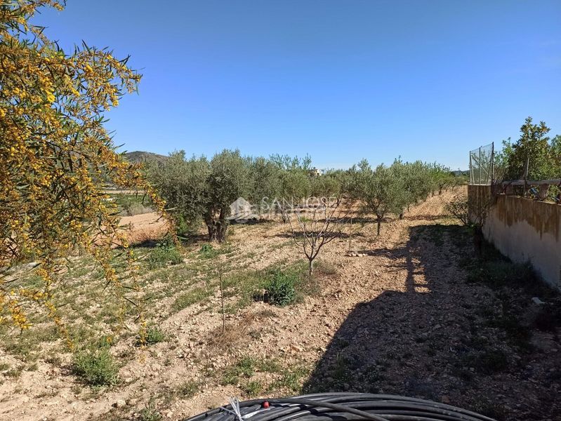 Foto d1681527-798f-4426-a8f7-79db78539102. Casa amb aparcament a Abanilla