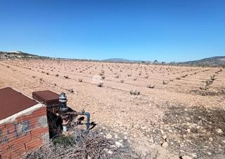 Terrain résidentiel à Pinoso. Se vende parcela rústica de regadío