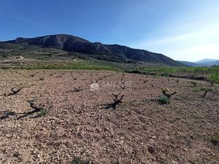 Propriété à Algueña. Se vende terreno rústico con cueva habitación en algueña