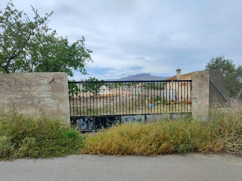 Foto 069cae72-cfc9-4d40-85ac-6b54914e1f01. Maison dans Pedanías Este Aspe