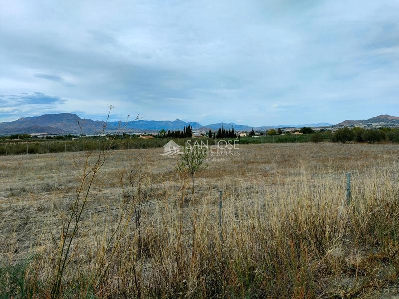 Foto 421b94cf-0943-4567-a32a-406507afe077. Maison dans Pedanías Este Aspe