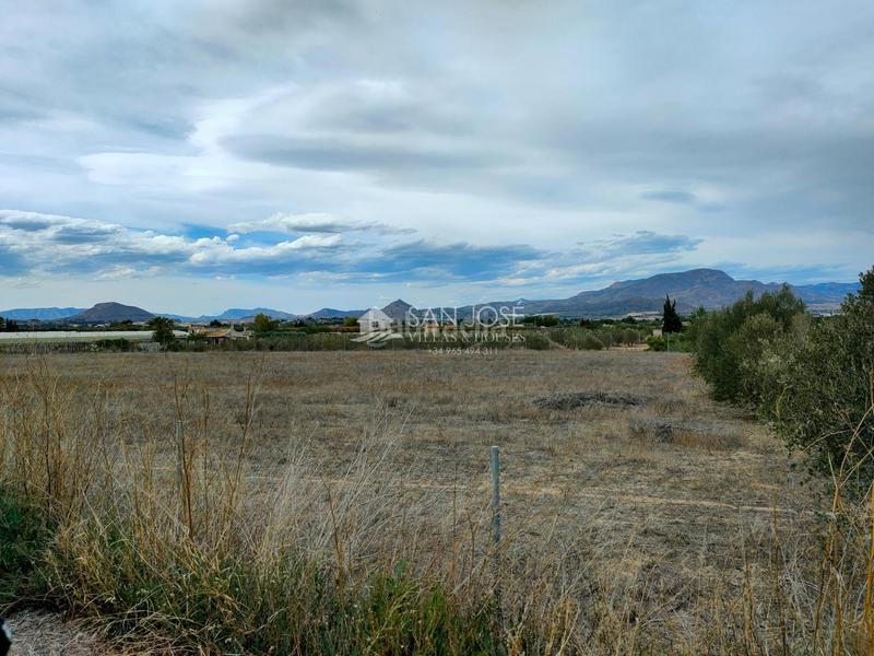 Foto 4eaa7953-76c4-493b-ab66-f240e1b13362. Maison dans Pedanías Este Aspe