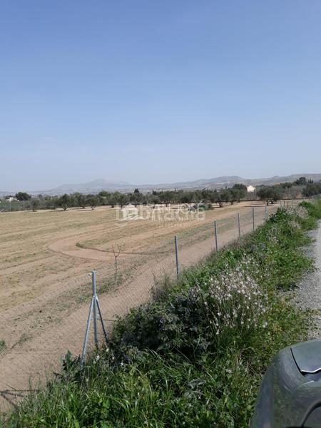 Foto 9e270f6f-187c-4ead-bc14-0b77b0d2d050. Maison dans Pedanías Este Aspe