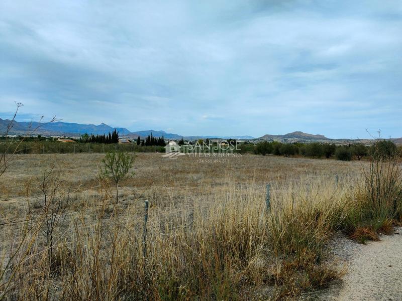 Foto b24a8b2c-9c24-46af-b800-3438fdd5ba5b. Maison dans Pedanías Este Aspe