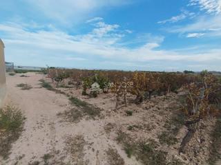 Terreny residencial a Novelda. Se vende terreno en novelda