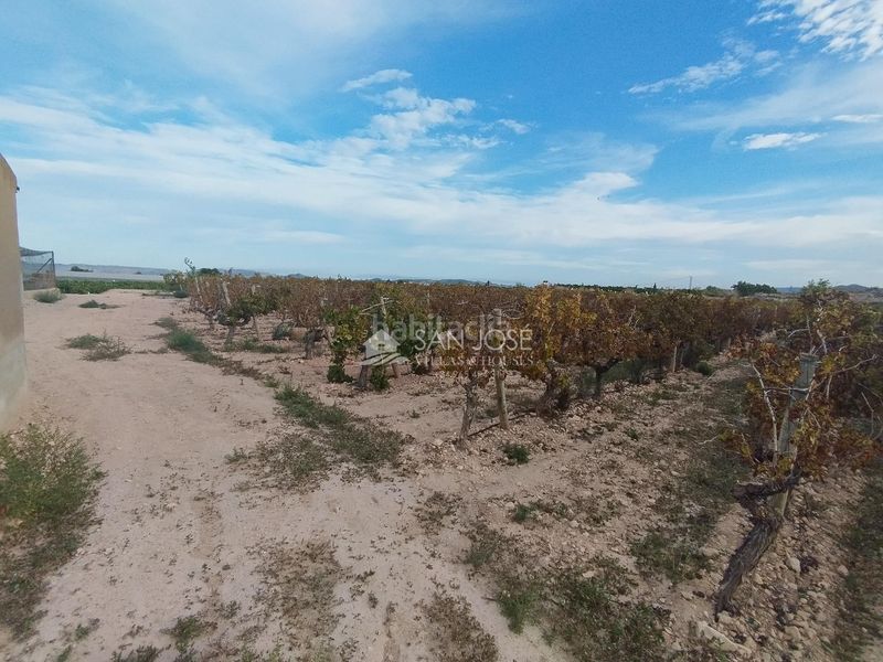 Foto 0bb4bdf5-c816-487a-b83d-20e43d5296e1. Finca rústica a Novelda