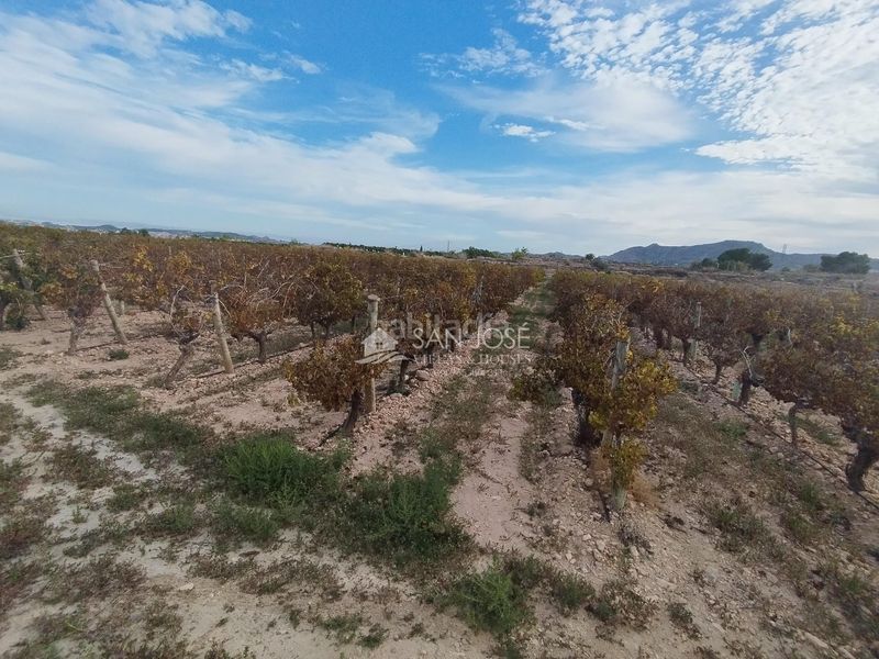 Foto b5a8aacb-a107-430a-ba81-b4da55460bc0. Finca rústica a Novelda