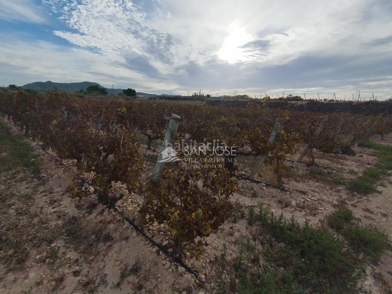 Foto bc58bb09-2076-494b-8b25-088f92b89401. Finca rústica a Novelda