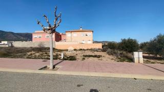 Terreny residencial a Salinas. Venta de dos solares en salinas