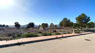 Terreny residencial a Salinas. Venta de suelo urbanizable en salinas