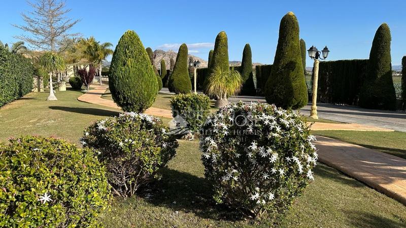 Foto f6c3d238-ab38-4060-a90b-c6ca2a35fa89. Xalet amb calefacció aparcament piscina a Pedanías Oeste Aspe