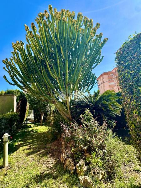 Foto c2ca33a3-9c7c-40c3-ada4-2753355bd147. Appartement avec chauffage parking piscine dans Playa Muchavista Campello (el)