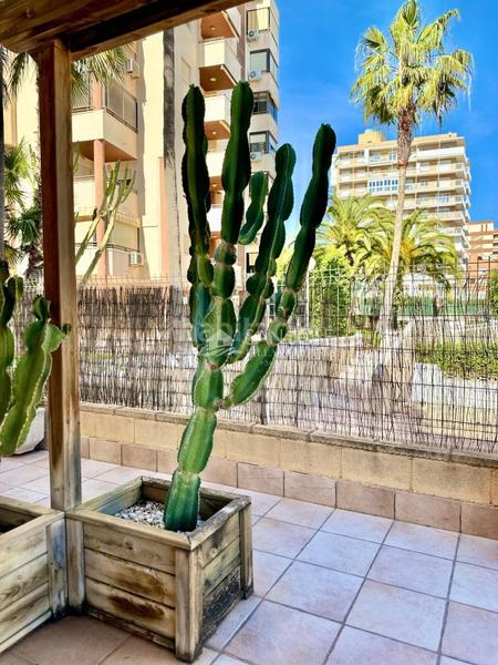 Foto c9cbf58e-0541-414a-8743-6495978c9ab8. Appartement avec chauffage parking piscine dans Playa Muchavista Campello (el)