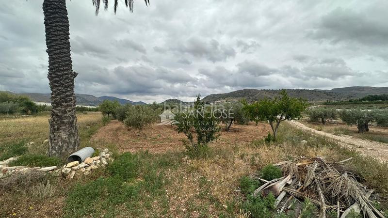 Foto 94eed55e-9158-4aee-a9b3-9f9b6e491e6d. Business premise in Romana (la)