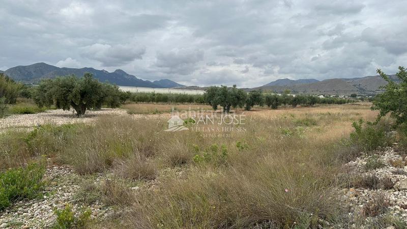 Foto eecaca3b-1b33-40cb-897a-73c16abe08e1. Business premise in Romana (la)