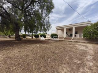 Xalet a Pedanías Oeste. Venta de chalet en aspe muy cerca del pueblo
