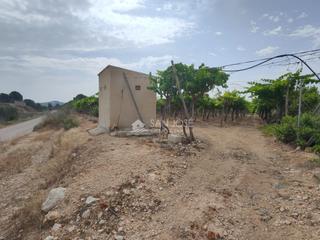 Rural plot in Pedanías Oeste. Se vende parcela rustica en aspe