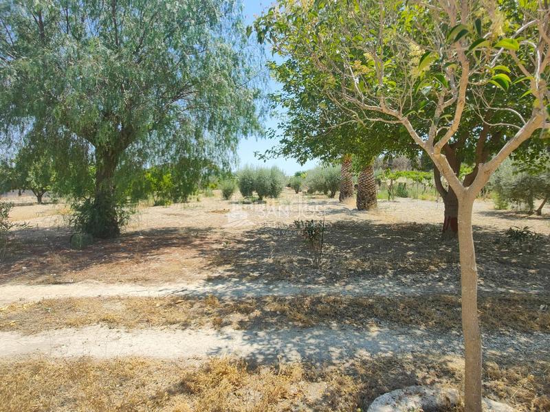 Foto 30935a1e-0b06-4f20-ae39-3eaad8954392. Chalet se vende casa de campo en buen estado en Pedanías Oeste Aspe