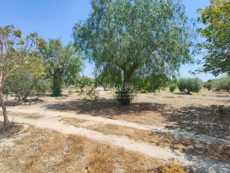 Foto 3a961d61-bdef-4ce2-b2af-5dcf3276127d. Chalet se vende casa de campo en buen estado en Pedanías Oeste Aspe
