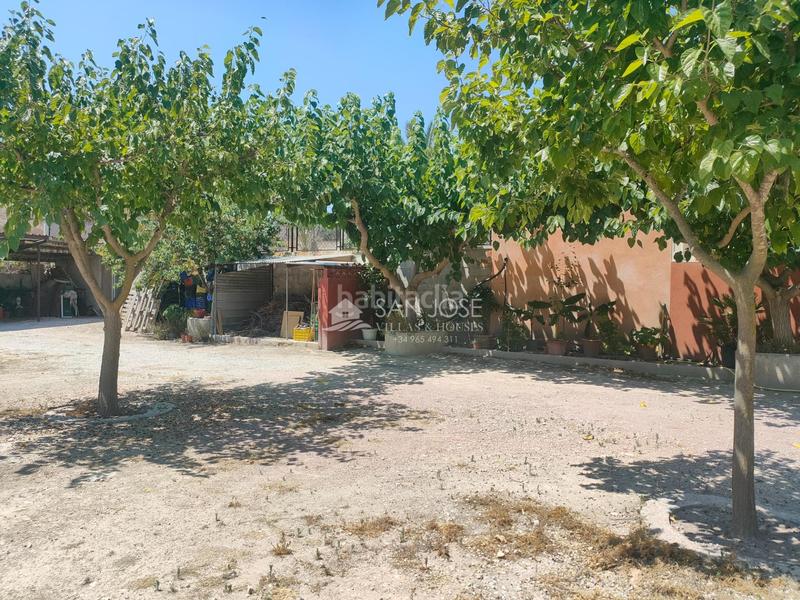Foto d53461dc-683c-4573-8ccd-36cf7dc8b067. Chalet se vende casa de campo en buen estado en Pedanías Oeste Aspe