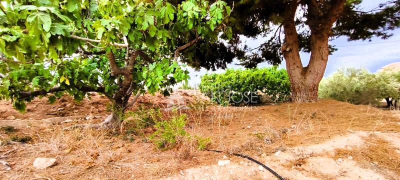 Foto 14e9d202-521c-4826-95d9-1f2285cd819f. Casa in Novelda