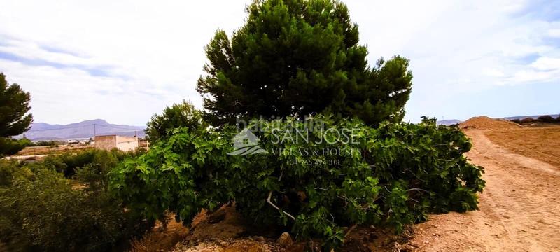 Foto 152b52f3-7f33-4857-8198-f3f3ab20ff8d. Casa in Novelda