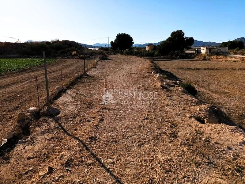 Foto 5e0fd18d-fc38-469e-9b0f-d851ec175b03. Casa in Novelda