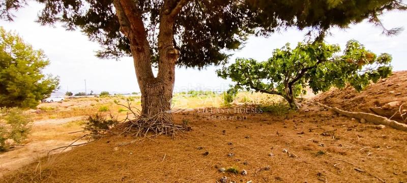 Foto d5930b6a-269a-446c-a0b6-2b4db6ba8dfa. Casa in Novelda