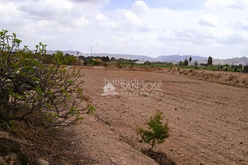 Foto fd78b4cf-be39-4116-8c02-9342a726ab79. Casa in Novelda