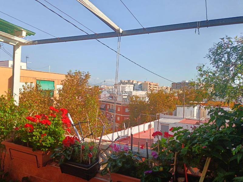 Foto 10d433f9-dbd1-4850-9562-d56ffcd19be8. Dachwohnung in Florida Baja Alicante