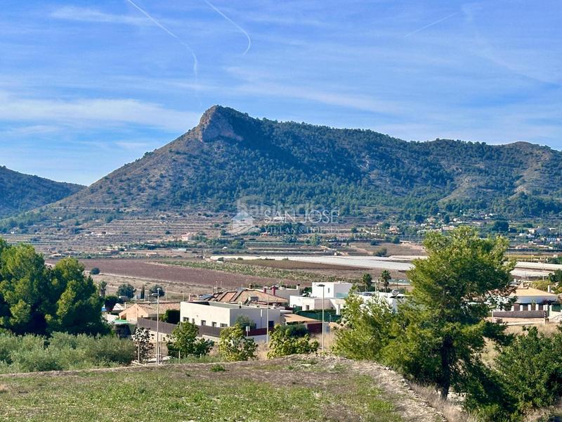 Foto 8652f22f-af44-4a13-881f-b7f0caba24ac. Xalet a Pedanías Oeste Aspe