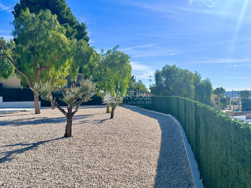 Foto a6902882-76b2-482c-ba29-b6e74abb2d55. Xalet a Pedanías Oeste Aspe