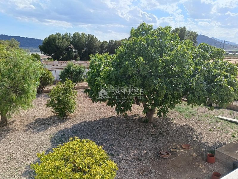 Foto ad1d2f90-031d-4384-975a-e0afe0806607. Xalet amb calefacció piscina a Pedanías Oeste Aspe