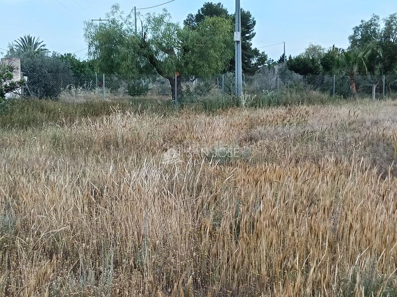 Foto 57542c09-003a-4208-837d-44460c326d37. Xalet a Pedanías Oeste Aspe