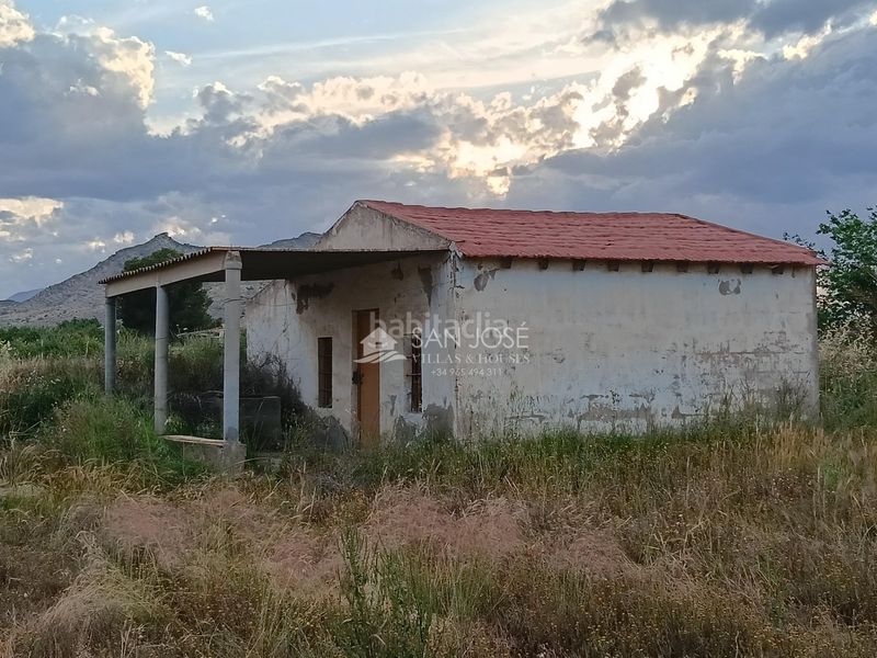 Foto 886cb291-2057-49ff-b85c-07fe718301e2. Xalet a Pedanías Oeste Aspe