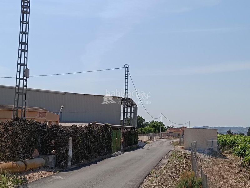 Foto 3d17bc66-3dac-4459-b929-ee7336a5a436. Finca rústica a Pedanías Oeste Aspe